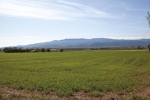 3942 Roblar Avenue Santa Ynez, CA 93460 - Image 1312630