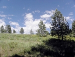 Lot 37 Pilgrim Ridge Road White Bird, ID 83554 - Image 1313580