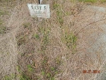 304 Plantation Point,tract 5a Ridgeway, SC 29130 - Image 1314699