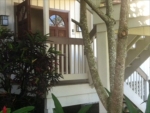4480 Ka Haku Rd Apt 104 Princeville, HI 96722 - Image 1321340