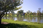 20406 Benevola Church Rd Boonsboro, MD 21713 - Image 1355350