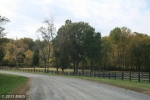 10001 ALYDAR COURT Nokesville, VA 20181 - Image 1401523