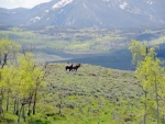 TBD HIWAY 14, WALDEN CO Walden, CO 80480 - Image 1408068