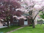 339 S Morris Ave Crum Lynne, PA 19022 - Image 1430437