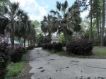 1072 LIBBY ARIAIL CIR Chapin, SC 29036 - Image 1440745