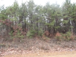 000 GREENE 611 ROAD Paragould, AR 72450 - Image 1451560