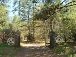 19630 Charleston Rd Volcano, CA 95689 - Image 1475598