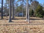 887 Chesapeake Beach Rd Reedville, VA 22539 - Image 1490037