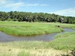 190 Blue Heron Rd Wellfleet, MA 02667 - Image 1525569
