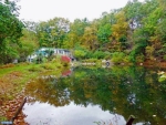 251 OLD MOUNTAIN RD Bethel, PA 19507 - Image 1539664