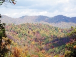 Pressmens Home Rd Rogersville, TN 37857 - Image 1545384