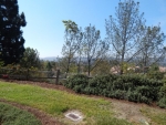4008 Calle Sonora Oeste # Laguna Woods, CA 92637 - Image 1553014