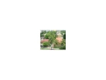 976 6 ST Miami, FL 33136 - Image 1608235