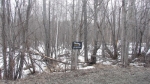 15399 W 4rth Street Wasilla, AK 99654 - Image 1625977