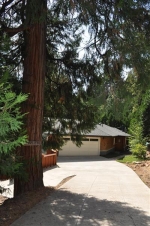 623 Sheep Ranch Rd Avery, CA 95224 - Image 1626900
