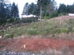 LOT 23 PACIFIC TERR Brookings, OR 97415 - Image 1630289