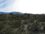 9749 N. Blue Bonnet Road Tucson, AZ 85742 - Image 1643799