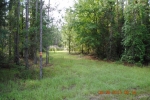 LOT 90 WINDING RIVER Bronson, FL 32621 - Image 1680748