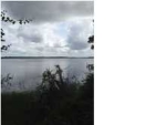 1 PECANETTA RD Wadmalaw Island, SC 29487 - Image 1725500