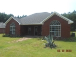 8765 Jack Williams Rd Wilmer, AL 36587 - Image 1731879