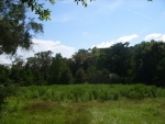 1 Highway 55 Red Level, AL 36474 - Image 1734479