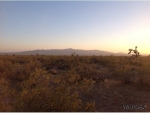 415 Tom Mix Rd Yucca, AZ 86438 - Image 1751075