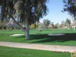 Lago Dr La Quinta, CA 92253 - Image 1752747
