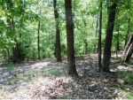 00 Lake View Dr Eureka Springs, AR 72631 - Image 1756318