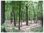 6 Doral Ln Eureka Springs, AR 72631 - Image 1756320
