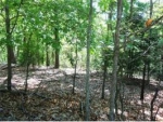 00 NE Ridge Rd Eureka Springs, AR 72631 - Image 1756321