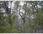 100 Table Rock Dr Eureka Springs, AR 72631 - Image 1756322