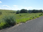 37725 Cottonwood Rd E Davenport, WA 99122 - Image 1847431