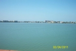 1375 Pasadena Blvd Saint Petersburg, FL 33707 - Image 1856209