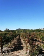 455 Limerick Ln Healdsburg, CA 95448 - Image 1890823