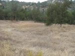 3301 Maravilla Dr Coulterville, CA 95311 - Image 1919355