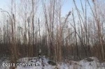 14499 W Siesta Circle Big Lake, AK 99652 - Image 1920437