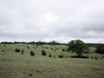 3338 Duderstadt Road Harper, TX 78631 - Image 1927365