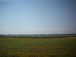 Tuscany Way (Apn# 74491) Port O Connor, TX 77982 - Image 1965948