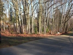22630 Military Rd S Seattle, WA 98198 - Image 2005907