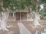455 S Magnolia Ave Yuma, AZ 85364 - Image 2007370