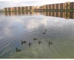 245 NE 191 ST # 3008 Miami, FL 33179 - Image 2016006