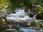 217-xx Payton Creek Rd Gold Bar, WA 98251 - Image 2017675