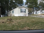 85 B AVENUE Belchertown, MA 01007 - Image 2019189