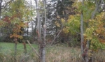 2255 Alliance Road Deerfield, OH 44411 - Image 2026846