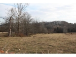 538 County Road 365 Trinity, AL 35673 - Image 2293064