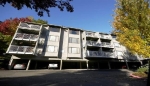 208 Mt Park Blvd Sw Apt E 103 Issaquah, WA 98027 - Image 2323665