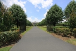 6511 Bridle Way Dr College Grove, TN 37046 - Image 2340455