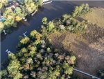 0 DOGWOOD RIDGE RD Summerville, SC 29485 - Image 2344470