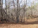 0 Holly Springs Road Toccoa, GA 30577 - Image 2358250