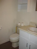 145 Brandi Lane Level Plains, AL 36322 - Image 2363214